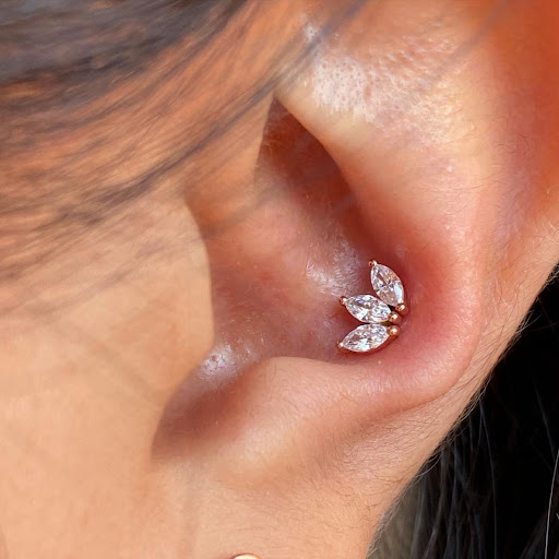 Explore 3 siblings tattoo ideas, creative tattoo ideas in Durham, available at Clarity Piercing