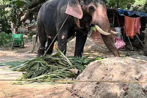 Punnathur (Elephant) Kotta Parking image