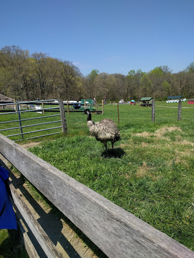 Farm «Clarks Elioak Farm LLC», reviews and photos, 10500 Clarksville Pike, Ellicott City, MD 21042, USA