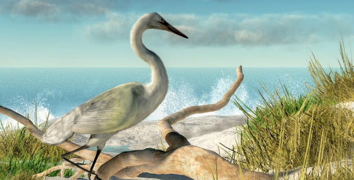 6631 Washington Ave, Ocean Springs, MS 39564, USA