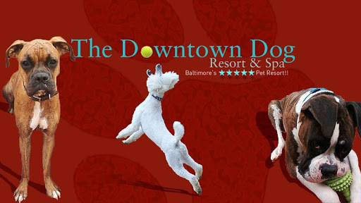 Downtown Dog Resort & Spa