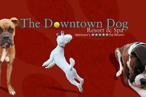 Downtown Dog Resort & Spa image