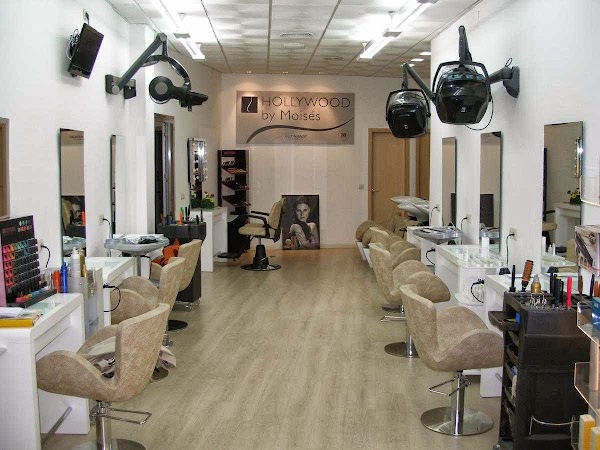 Hollywood By Moisés