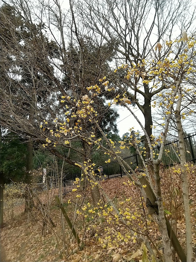 東松山ぼたん園 公衆トイレ