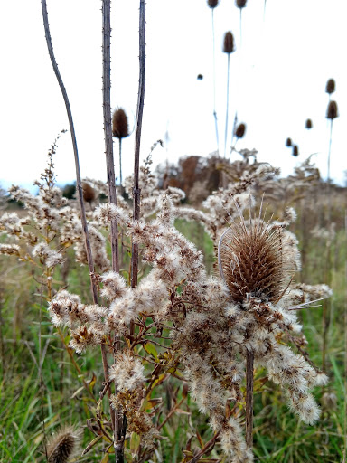 Tourist Attraction «Caesar Creek Visitor Center», reviews and photos, 4020 N Clarksville Rd, Waynesville, OH 45068, USA