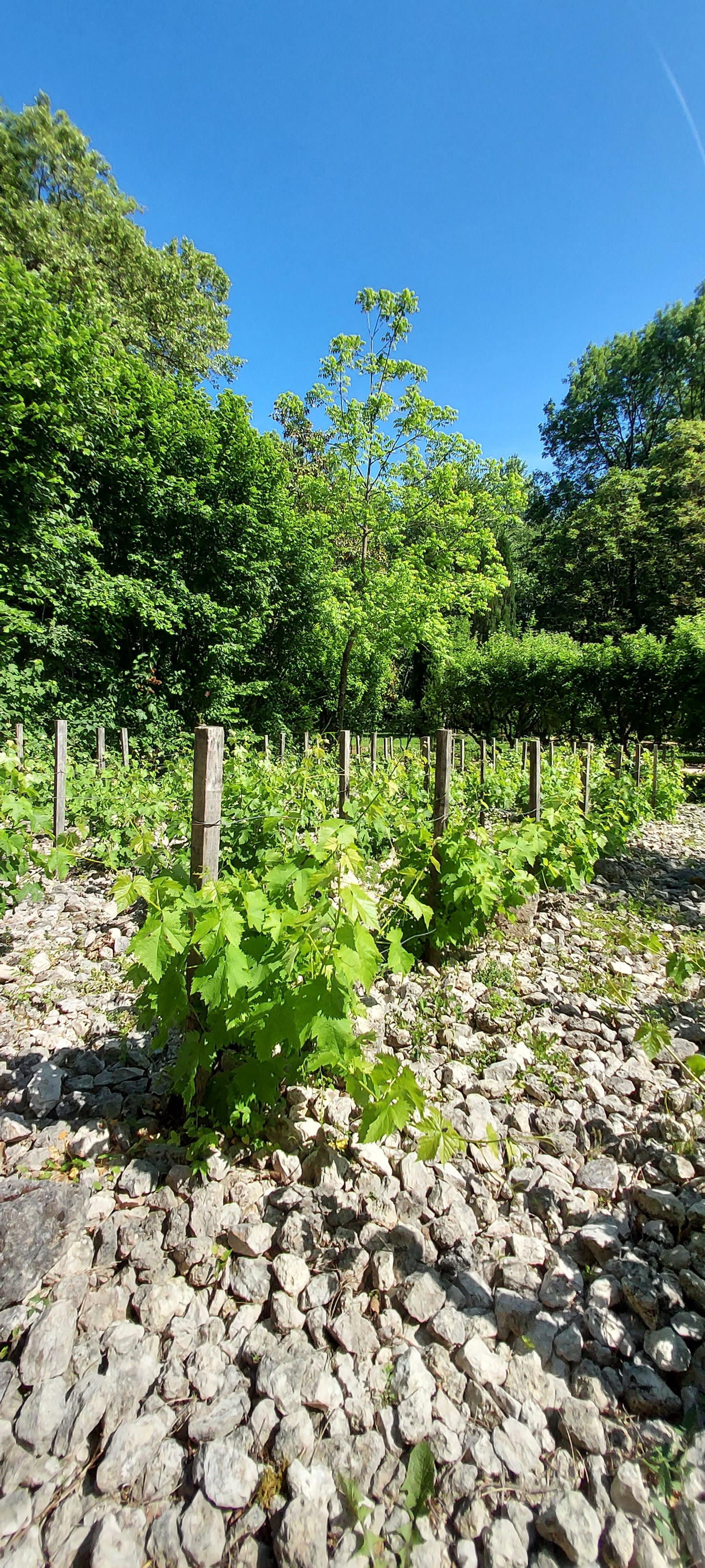Photo n° 2 de l'avis de sandrine.A fait le 29/05/2023 à 20:13
