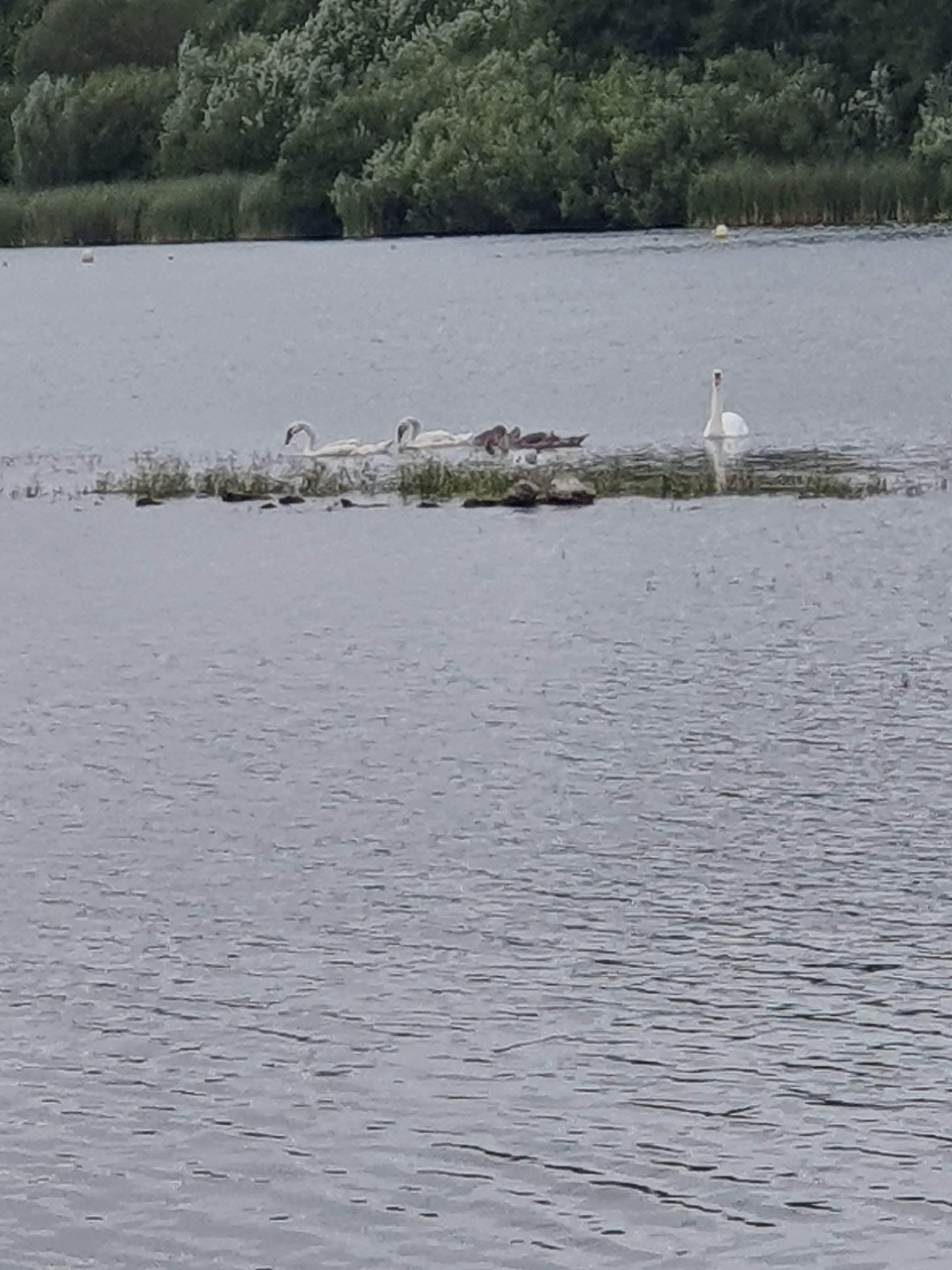 Photo n° 30 de l'avis de Liliane.o fait le 17/08/2019 à 10:37