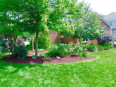Top Trimming Landscaping and Maintenance