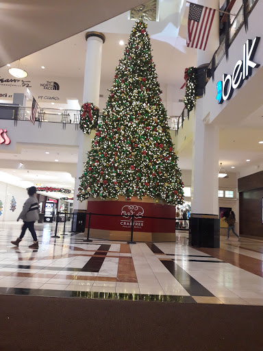 Computer Store «Apple Crabtree Valley Mall», reviews and photos, 4325 Glenwood Ave, Raleigh, NC 27612, USA