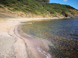 Foto von Sebastian beach mit kleine bucht