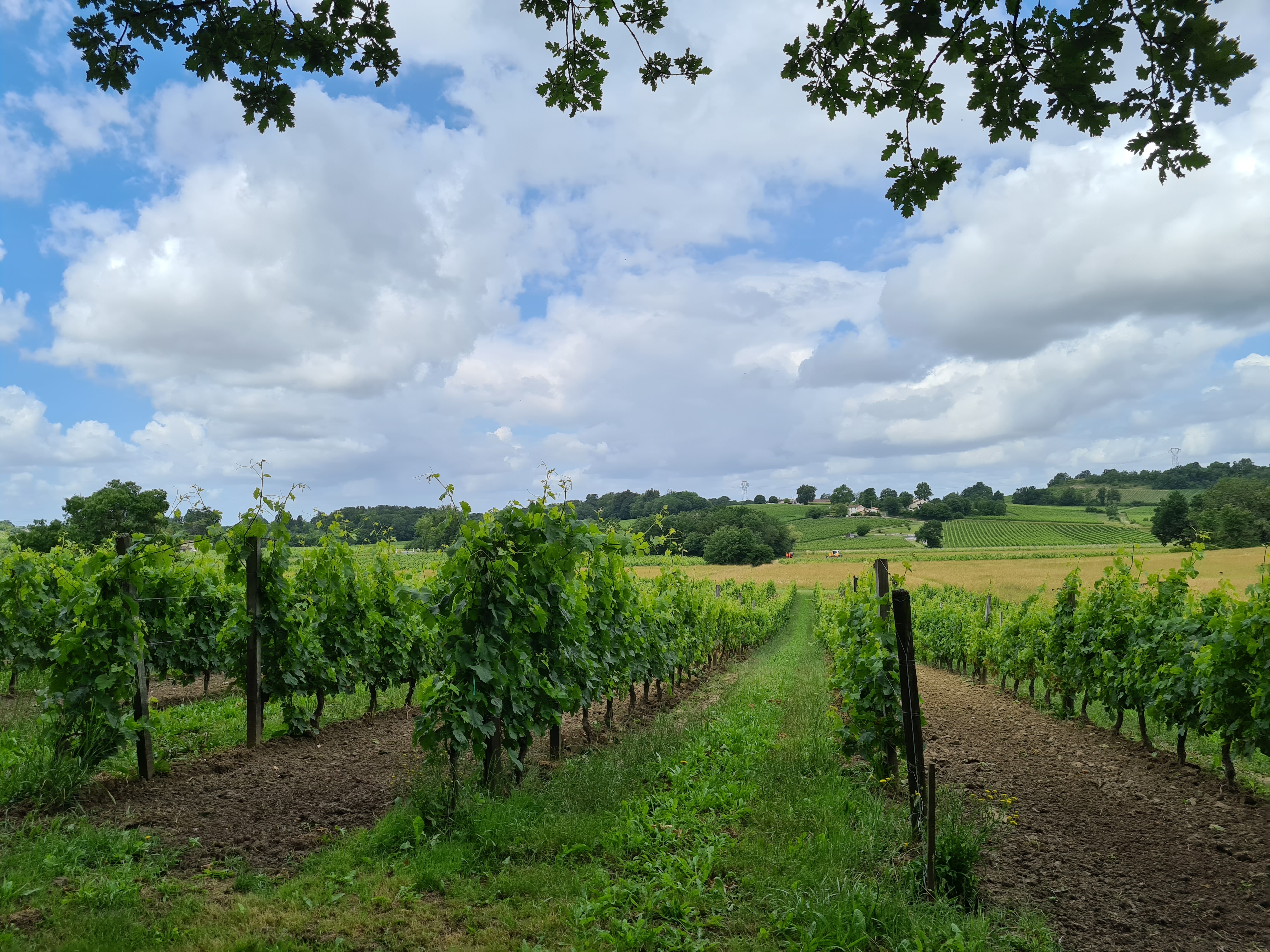 Photo n° 3 de l'avis de Jean-Michel.O fait le 14/06/2020 à 16:30