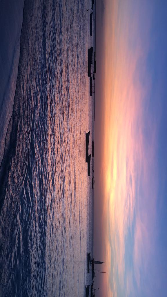 Photo n° 3 de l'avis de Zico.2 fait le 24/02/2022 à 23:11