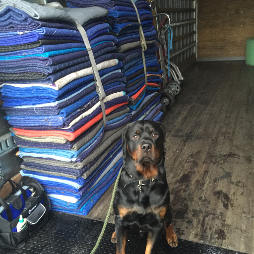 Moving and Storage Service «Beefcake Moving & Storage, Inc», reviews and photos, 9950 Canoga Ave, Chatsworth, CA 91311, USA