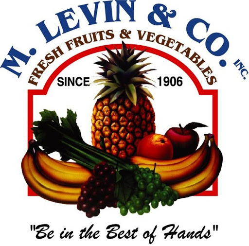 M. Levin and Company, Inc.