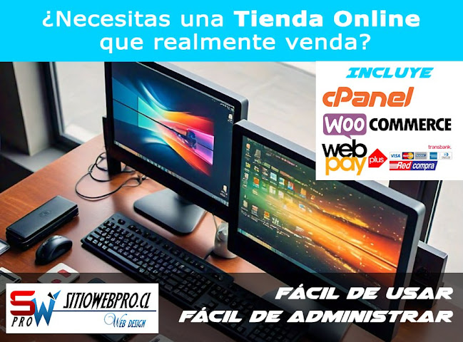 https://sitiowebpro.cl/