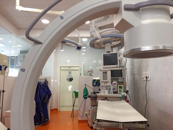 Hospital Veterinario El Bosque