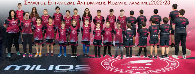 Σ.Ε.Α. ΚΟΖΑΝΗΣ