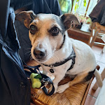 Photo n°3 de l'avis de Luciano.o fait le 09/03/2024 à 16:59 sur le  LOCANDA EPICA (Trattoria) à Barbarano Romano