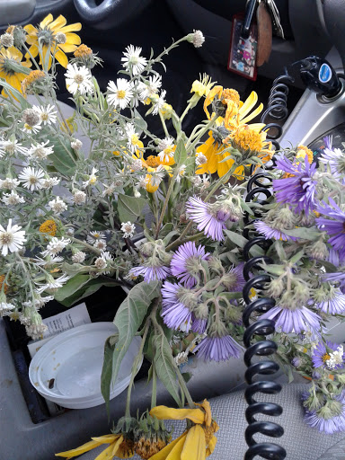 Paving Contractor «Fabrizi Trucking & Paving Co», reviews and photos, 6751 Eastland Rd, Cleveland, OH 44130, USA