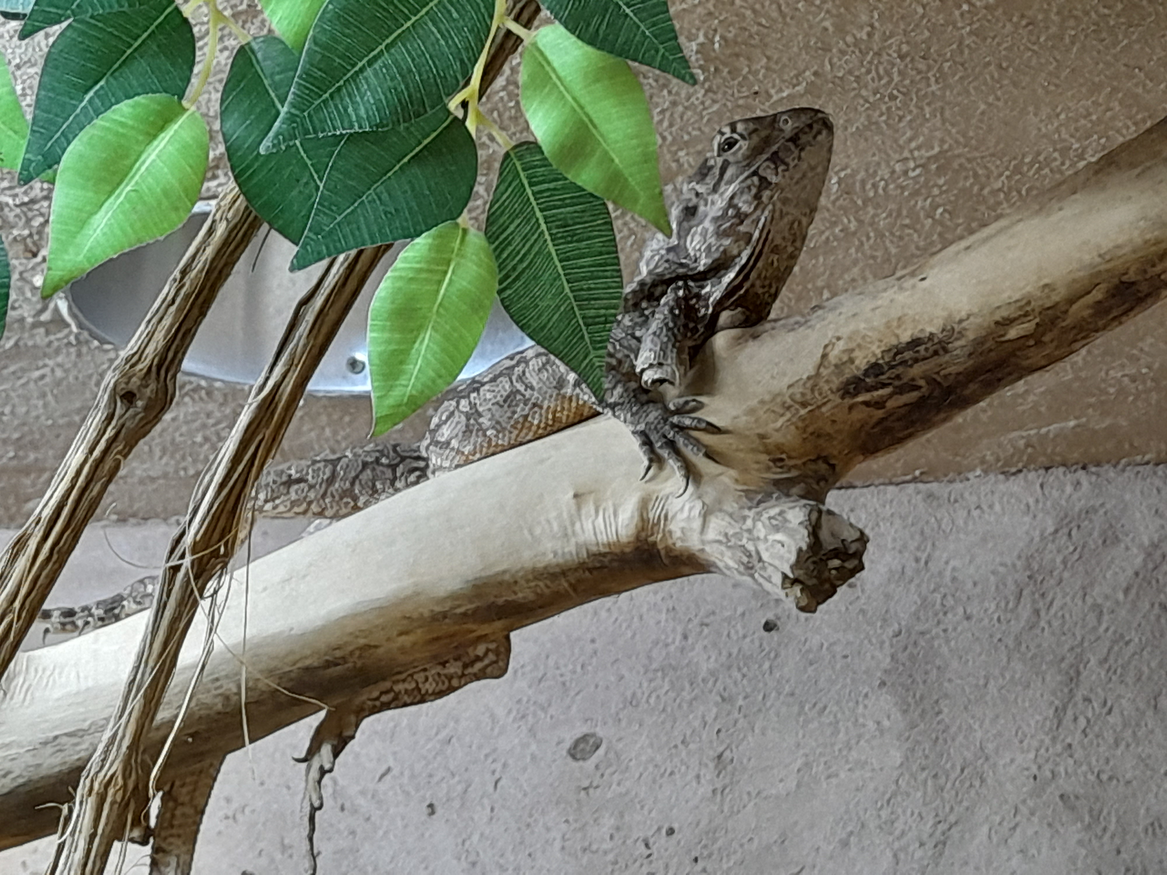 Photo n° 3 de l'avis de Elodie.u fait le 16/08/2023 à 18:37