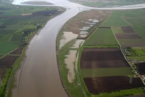 RSPB Blacktoft Sands image