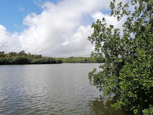 Río Maimón Natural Park