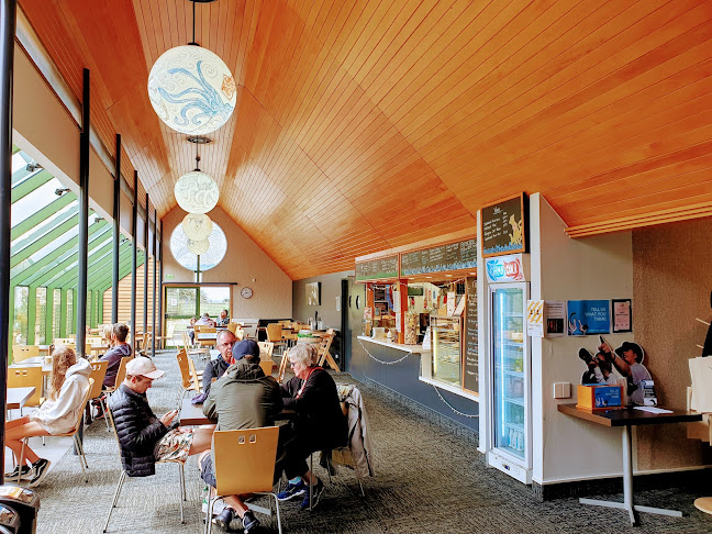 Toroa cafe - Dunedin