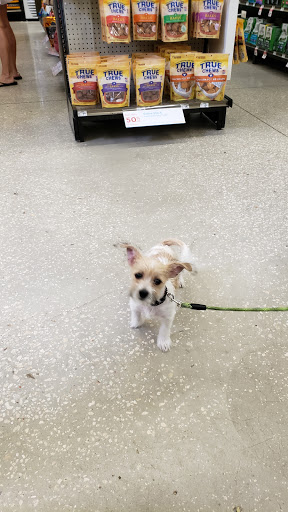 Pet Supply Store «Petco Animal Supplies», reviews and photos, 11147 Park Blvd N, Seminole, FL 33772, USA