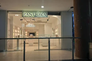 PANDORA SILVERBIRD image