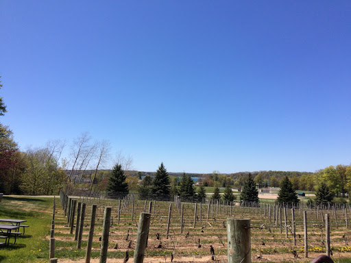Winery «Brys Estate Vineyard», reviews and photos, 3309 Blue Water Rd, Traverse City, MI 49686, USA