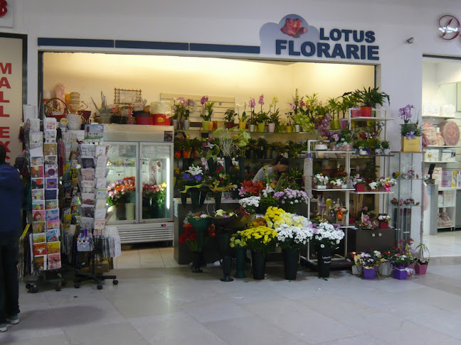 Floraria Lotus