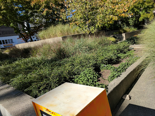 Park «Freeway Park - Jim Ellis Freeway Park», reviews and photos, 700 Seneca St, Seattle, WA 98101, USA