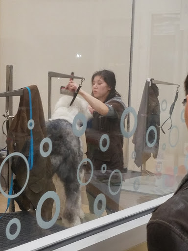 Pet Supply Store «Petco Animal Supplies», reviews and photos, 86 Storrs Rd, Mansfield Center, CT 06250, USA