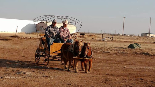 Conner ranch