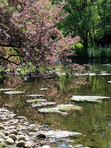 Performing Arts Theater «Circle Theatre», reviews and photos, 1703 Robinson Rd SE, East Grand Rapids, MI 49506, USA