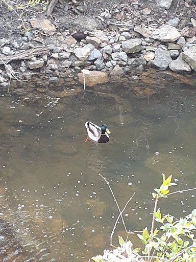 Art Museum «Cincinnati Art Museum», reviews and photos, 953 Eden Park Dr, Cincinnati, OH 45202, USA