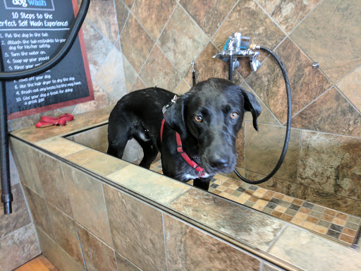 Pet Supply Store «Pet Valu», reviews and photos, 411 Valley Brook Ave, Lyndhurst, NJ 07071, USA