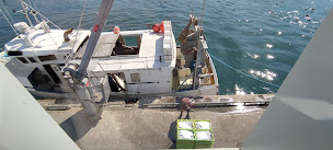 Photo n°13 de Escale Pêche à Saint-Gilles-Croix-de-Vie ()