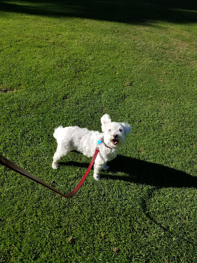 RV Park «Hidden Valley RV & Golf Park», reviews and photos, 81 Damren Rd, Derry, NH 03038, USA