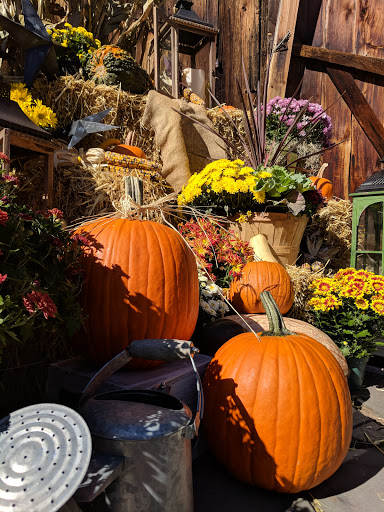 Museum «Webb-Deane-Stevens Museum», reviews and photos, 211 Main St, Wethersfield, CT 06109, USA