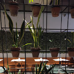 Photo n°4 de l'avis de Irene.a fait le 20/08/2023 à 19:31 sur le  Molendini à Catanzaro