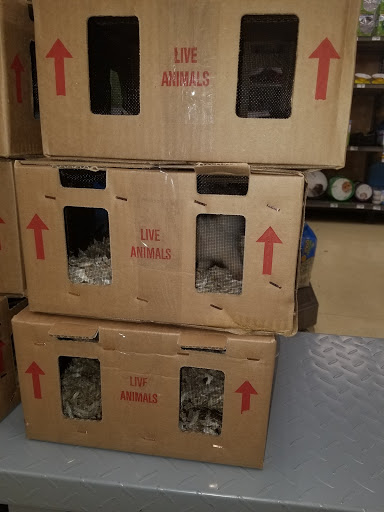 Pet Supply Store «Petco Animal Supplies», reviews and photos, 1670 Airport Blvd #700, Pensacola, FL 32504, USA