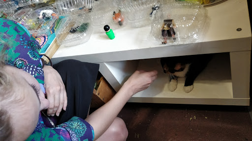 Collectibles Store «B4», reviews and photos, 2707 Main St, Dallas, TX 75226, USA