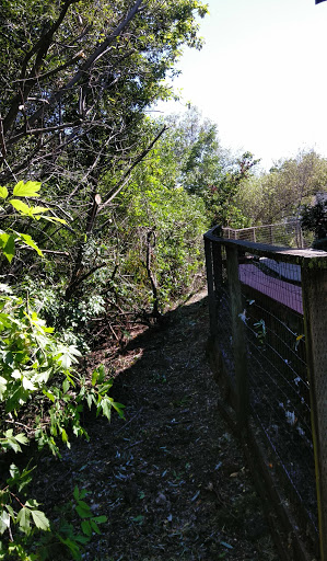 Live Music Venue «Concord Pavilion», reviews and photos, 2000 Kirker Pass Rd, Concord, CA 94521, USA