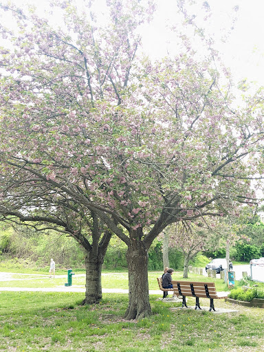 State Park «Webb Memorial State Park», reviews and photos, 371 River St, North Weymouth, MA 02191, USA