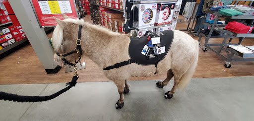 Home Improvement Store «Tractor Supply Co.», reviews and photos, 6801 Florida 50, Groveland, FL 34736, USA