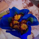 Photo n°4 de l'avis de Cinzia.r fait le 12/03/2023 à 12:11 sur le  Bar Trattoria Pizzeria Da Massi à Pian Camuno