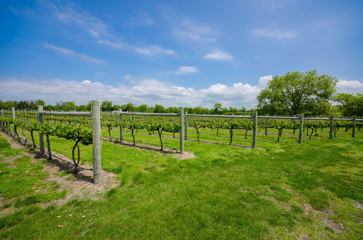 Winery «Jessie Creek Winery», reviews and photos, 1 N Delsea Dr, Cape May Court House, NJ 08210, USA