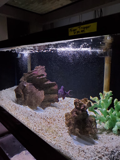 Tropical Fish Store «Marine Oasis», reviews and photos, 5340 W Ridge Rd, Spencerport, NY 14559, USA