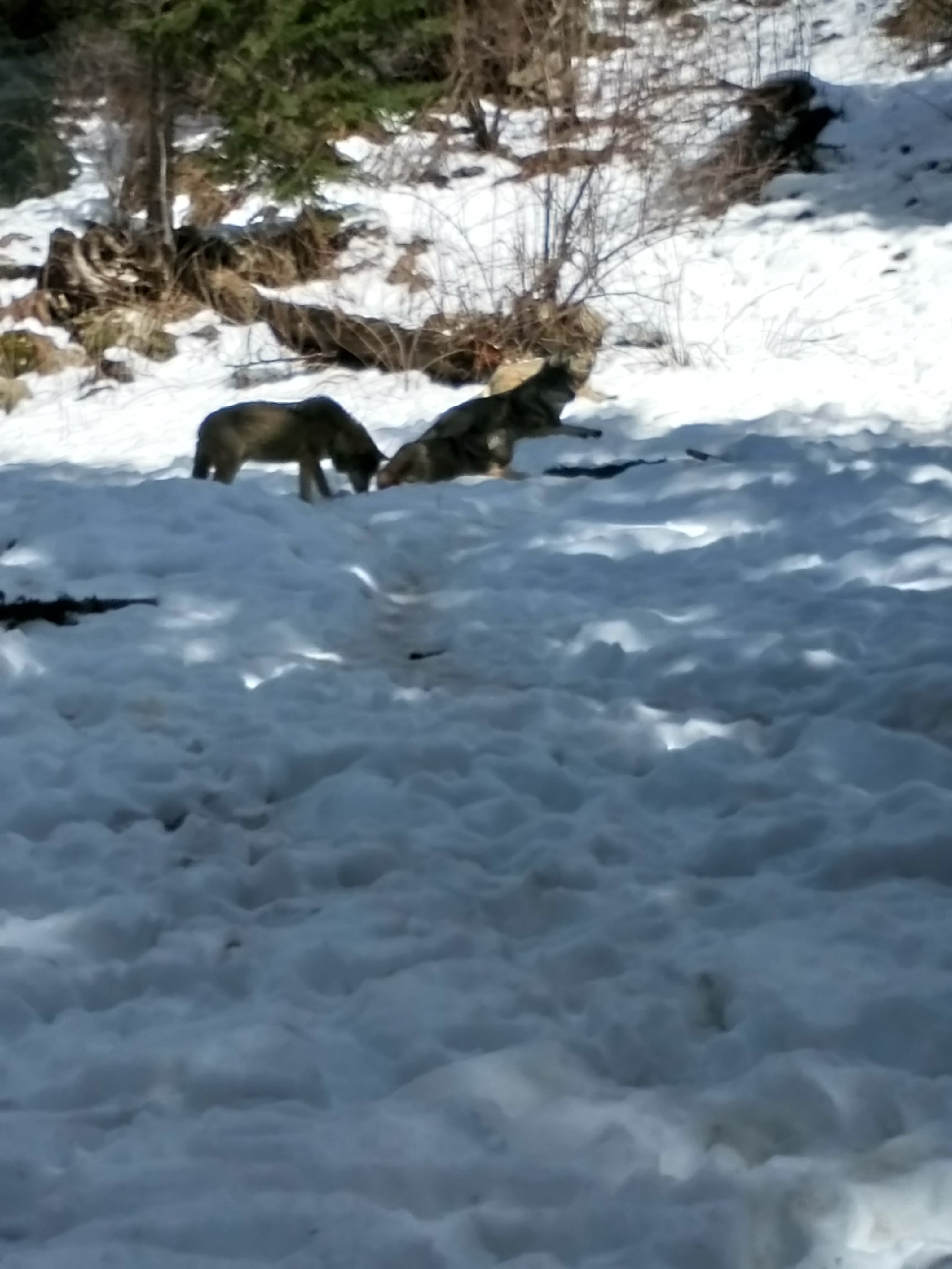 Photo n° 2 de l'avis de virginie.u fait le 15/04/2019 à 06:27